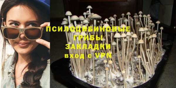 мескалин Бронницы