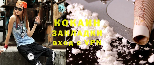 Альфа ПВП Верея