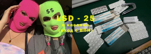 PSILOCYBIN Верхний Тагил
