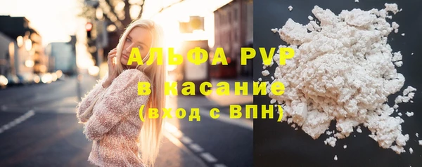 PSILOCYBIN Верхний Тагил