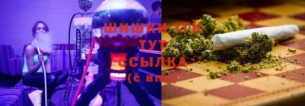Альфа ПВП Верея