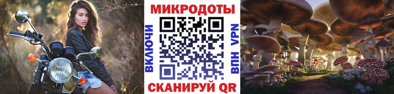 OMG онион  Владимир  Галлюциногенные грибы мухоморы 
